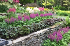 BARBARA-KALHOK-ASTILBE-EXTRAORDINAIRE